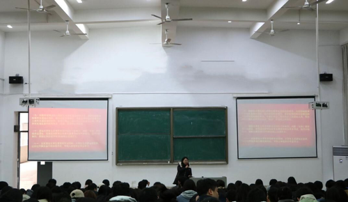 图片7