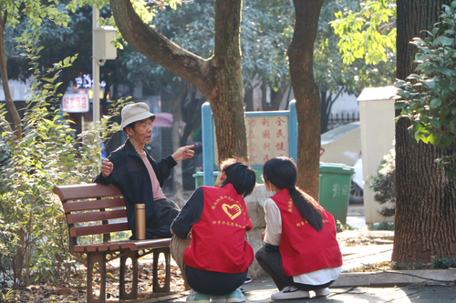 图片15